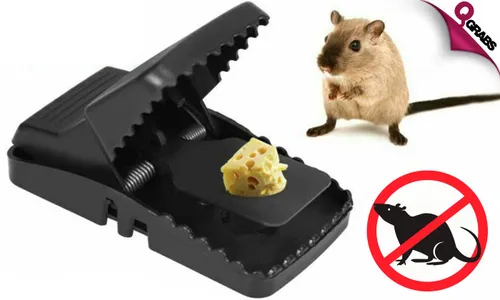 Heavy Duty Snap Trap for Rodents!